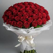 Букет 101 Красная роза Блэк Мэджик в Горьковском