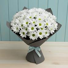 Букет цветов из:  Хризантемы #REPLACE_PRED# Горьковском
