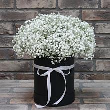 Цветочная композиция из Гипсофила в шляпной коробке #REPLACE_PRED# Горьковском