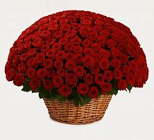 Премиум букет из: Розы в Горьковском